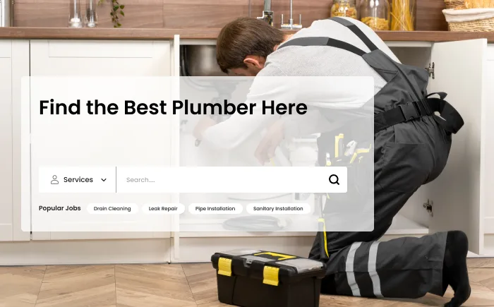 Frontend demo of the plumber service platform